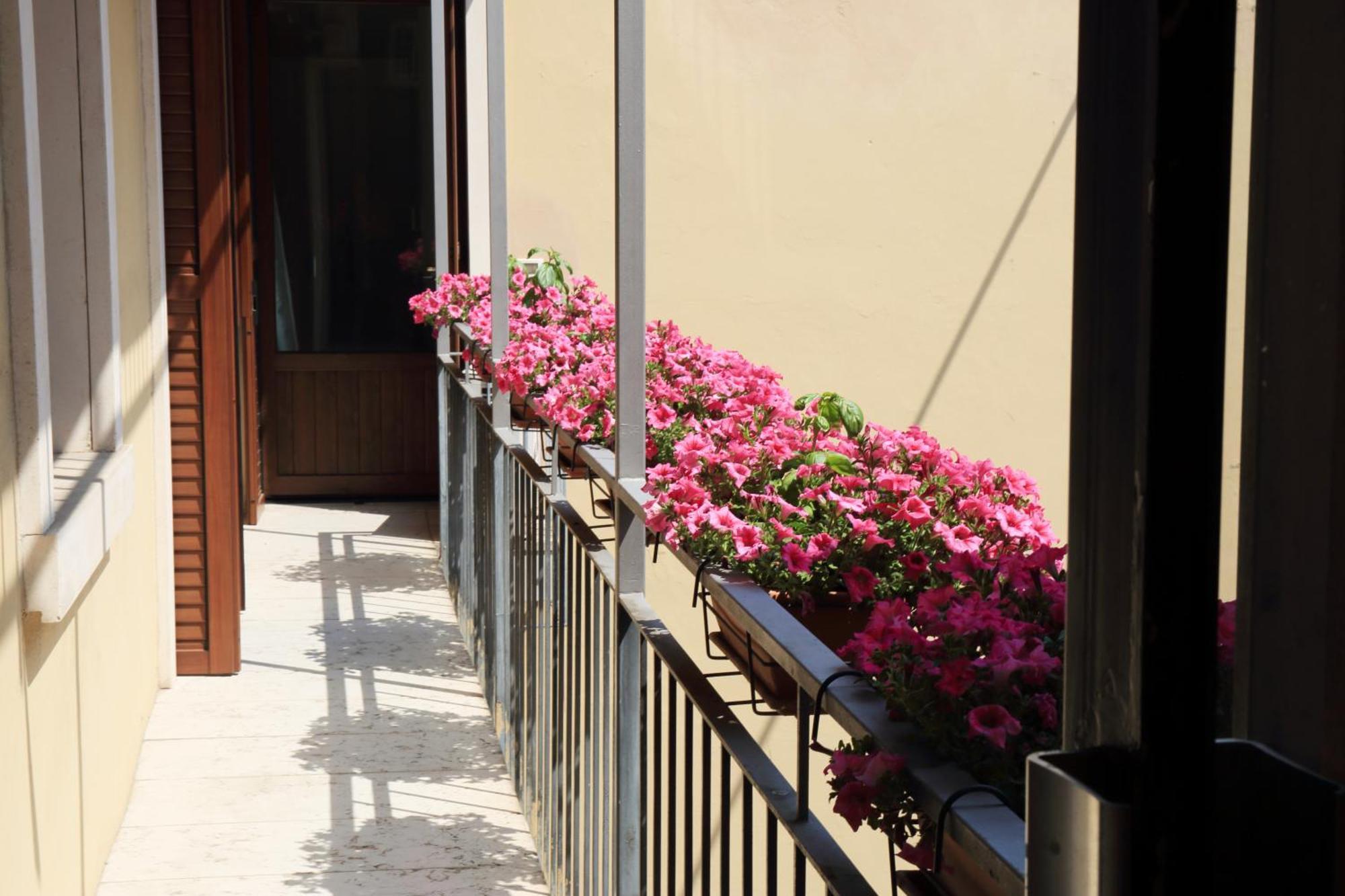 Museo Apartamento